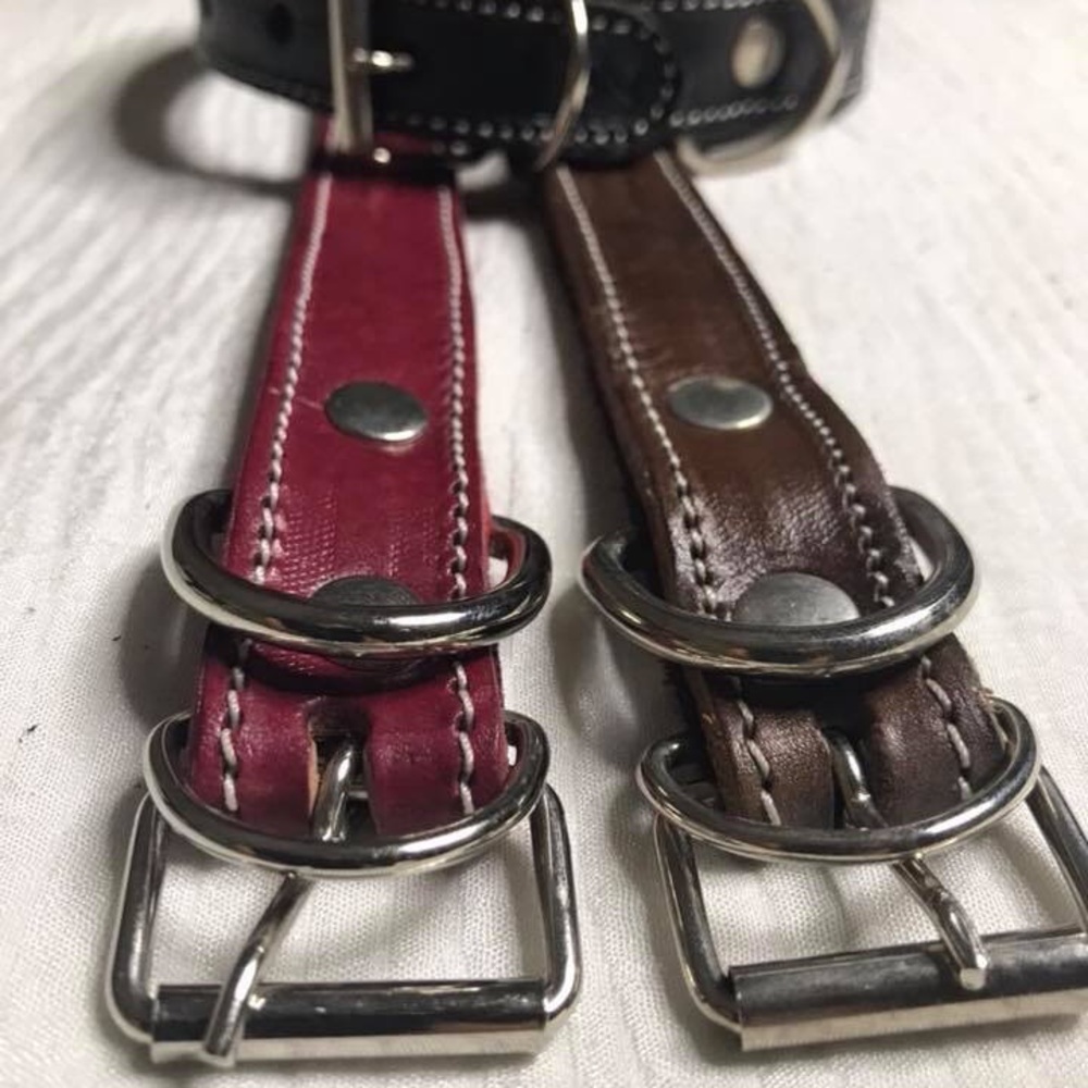 Dog collars - Picture 6 of 8